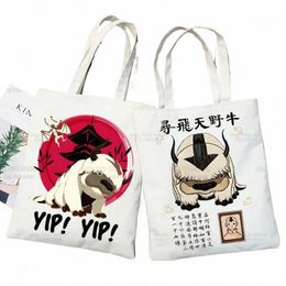 appa YIP YIP Carto toile épaule sac fourre-tout sacs à main Avatar le dernier maître de l'air Eco sac de magasin réutilisable Vintage Ulzzang sacs g0cR #