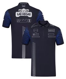 Vêtements 2023 F1 Racing Team T-shirt spécial Pilote de Formule 1 Polos T-shirts Nouvelle saison Course Vêtements de sport Fans Tops Maillot pour hommes