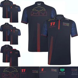 Vêtements 2023 Nouvelle équipe de course T-shirt Polo Chemise d'été Formule 1 T-shirts à manches courtes pour hommes Pilote personnalisé Même fan T-shirt Haut à séchage rapide