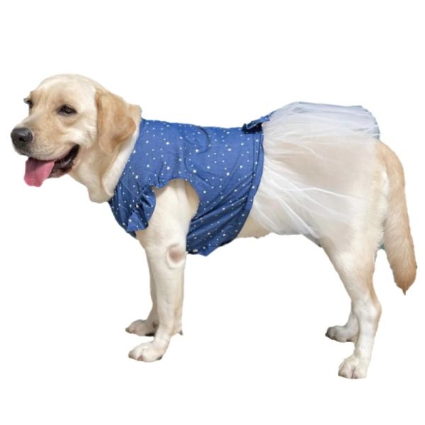 Vêtements Big Dog Dress Été Grand Chien Vêtements Robes Welsh Corgi Shiba Inu Samoyède Husky Labrador Golden Retriever Vêtements Costume