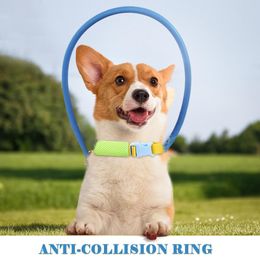 Kleding Blind Pet Anticollision Collar Hondengids Training Gedragshulpmiddelen passen op kleine grote honden Voorkom botsingshalsbanden