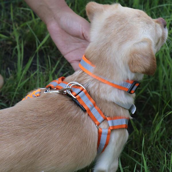 Ropa Conjunto de arnés y correa para perros pequeños Chaleco de malla reflectante Collar Cuerda Accesorios para perros Suministros para mascotas para pequeños y medianos