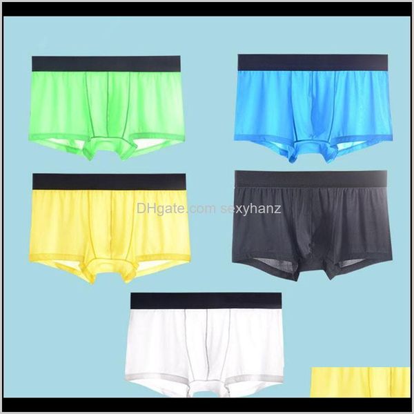 Vêtements livraison directe 2021 5 pièces maille Shorts sous-vêtements Cool glace soie hommes Boxer caleçon Super respirant hommes Sexy mince homme culotte Transpar