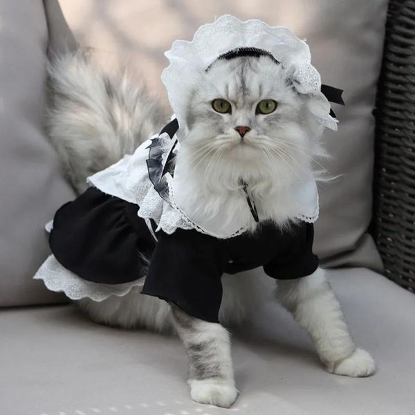 Ropa Moda Gato Vestido de sirvienta Falda de encaje COS Vestido de cambio uniforme para gato Perro Primavera Verano Ropa y sombreros Ropa para mascotas de dos piezas