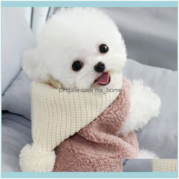 Kledingbenodigdheden Thuis Tuin Winter Warm Hond Voor Kleine Honden Herfst Dikke Hoodie Puppy Jas Chihuahua Leuke Huisdier Kledingkleding Aessoires