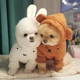 Apparel hiver nouveau produit Ins vent mignon Bunny Bear Oreds Wear Hoodie plus Veet épais Sweat Coton Coton chaud et cireux doux