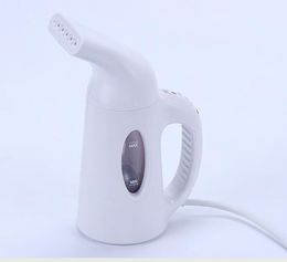 Appliances 220V 850W Kwaliteit Poweroff Protection Europe Style Mini Handy Travel Garment Steamer 120ml