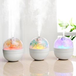 Appareils humidificateur rechargeable lapin doux fleur éternelle arôme diffuseur d'huile essentielle brumisateur d'air coloré LED reconstitution de l'eau