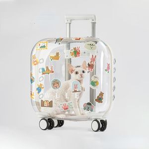 Chariot de voyage pour animaux de compagnie, Capsule transparente, pour chiots, chiens, chats, sac de transport avec roue de chariot