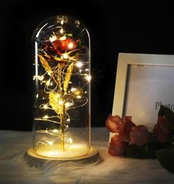 Avril Bête de fleur de naissance un verre rose médium Le dôme sur la Saint-Valentin pour et les cadeaux de base en cadeau de beauté day rouge en bois de BBYCQP B1364482