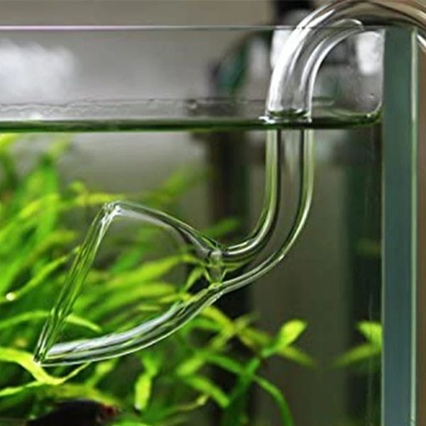 Aquarium réservoir sortie eau sortie Lily tuyau filtre accessoires 10 1 m 17mm verre Transparent corne ventouse poisson 240321