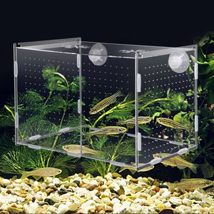 Aquariums Aquarium Isolation Box Fish Tank Petite boîte d'élevage de frites Multifonctionnel Frai Salle d'éclosion Aquarium Accessoires Fish Supplie 230617