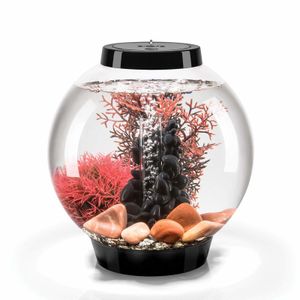 Aquaria CLASSIC aquarium met alle decor en accessoires inbegrepen Wit LED-licht 4 gallon Black Stone River Fish Tank 230613