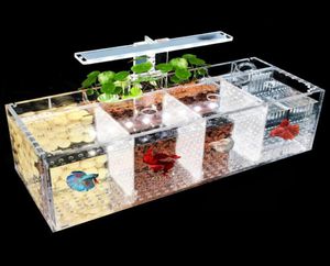 Aquaria Creative Betta Fish Tank Breeding Incubator isolatiekast Water Desktop Kleine Acryl Ecological Aquarium5500126