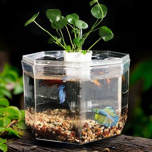 Aquariums Desktop Betta Fish Tank Acrylic Isolation Box Fish Tank Ornamental Aquarium Breeding Box Office Decoration 2201007