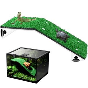 Aquariums Fish Tank Lawn Turtle Sun Terrace Aquarium Turtle Tuping Plateforme aspirat Tup Turtle Turtle Plateforme Turtle Turtle Miscing Échelle