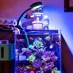 Aquaria Lighting Aquarium LED LICHT MARINE CORAL SPS LPS Aquarium Sea Reef Tank Blue White Beginner 90V240V voor 3050 cm zeewatertank 2201007