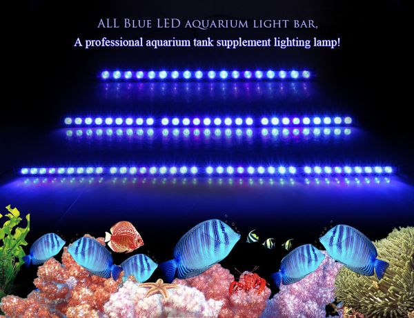 Iluminación de acuarios grow 54W81W108W Luz de acuario LED con solo 470nm Tira de espectro azul Hermosa su lámpara de pecera de arrecife de coral 230627