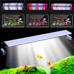 Aquariums Éclairage Plantes Growing Lights Fish Tank Petit Clip Aquarium Irradiation Accessoires LED Lumière Décoration Lampe 230729