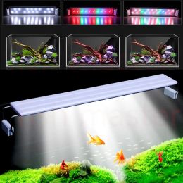 Aquariums Plantes de croissance Lumières Vers de poisson-poisson Petites lumières Aquarium Aquarium Accessoires de décoration de lumière LED Lampe