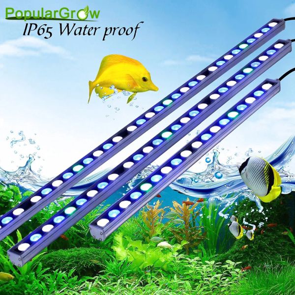 Acuarios Popular Grow 54W/81W/108W LED LED Strip Light in High Power Aquarium LED LEULLE