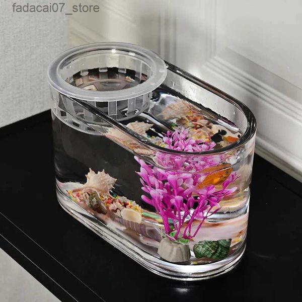 Aquariums Simple bureau verre Transparent aquarium hydroponique ovale Pot de fleur plante aquatique conteneur créatif YQ231018