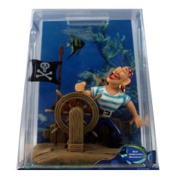 Aquaria winaqum onderzeese decoratie Jolly Roger Aerating ornament Decor voor aquarium vissentank WA93