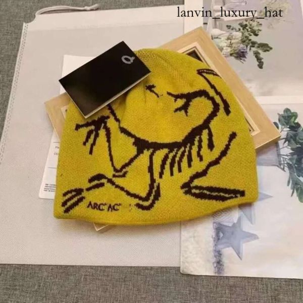 Arcterys Beanie Ancestor Bird Hat Arc Men Arcterys Hat Hommes coupe-vent et à la mode en tricot de laine bonnet à tricoter homme et femme chapeaux 9809