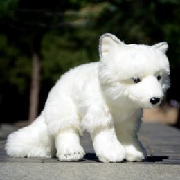 Arctic Anime Lindo Plushie Blanco Polar Juguetes de peluche Animales realistas Simulación Muñeca de peluche Regalos de juguete para niños 240325