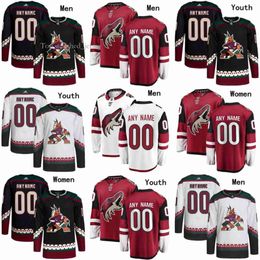 Arizona Hockey Coyotes-truien 3 Josh Brown 61 Dysin Mayo 90 J.J. Moser 2 Patrik Nemeth 51 Troy Stecher 25 Conor Timmins 4 Juuso Valimaki 39 4171