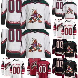 Custom Heren dames jeugd Arizona Hockey Coyotes Jerseys 70 Karel Vejmelka 14 Shayne Gostisbehere 12 Nick Ritchie 17 Nick Bjugstad 19 Troy Terry 90 J.J. Moser9 Clayt64