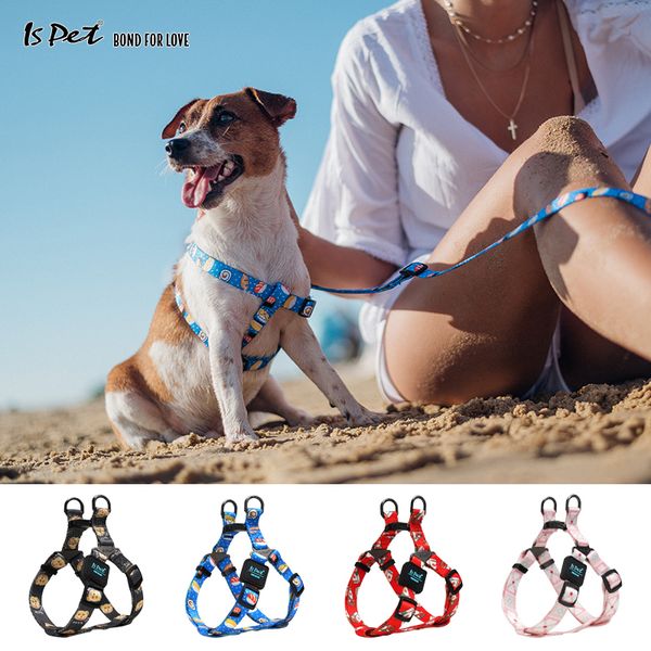 Arnes Perro Fashion Cat Puppy Harnais de chien de compagnie pour petit chien Pitbull Bouledogue français Beagle Poméranie Accessoires de chien de Noël 201126