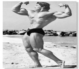 Arnold Schwarzengge Body Building Art Señel de seda Póster 24x36inch60x90cm 0145424107