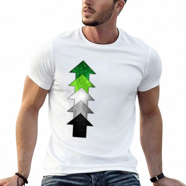 Aro Arrows T-Shirt anime personnalisé animal prinfor garçons t-shirts unis hommes A4gj #