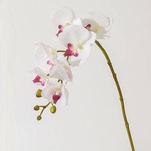 Flores artificiales orquídeas de flores de seda simulación Phalaenopsis decoración del hogar de boda