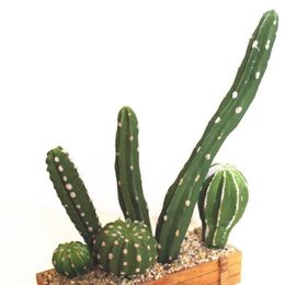 Kunstmatige levensechte vetplanten Cactus Multi Type Plastic Plant Tuin Miniatuur Cactus DIY Thuis Woonkamer Kantoor Decoratie1224N