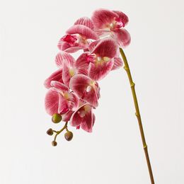 Kunstmatige Phalaenopsis Bloemen Bruiloft Home Decoraties Real Touch Butterfly Orchid