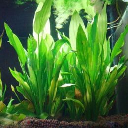 Plante d'eau artificielle en plastique, décorations d'aquarium, plantes d'aquarium, fleur d'ornement, accessoires aquatiques 210x