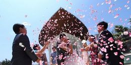 Pétalos de rosa de seda artificiales Flores de pétalos de boda Decoraciones para fiestas Guirnaldas Champán dorado 52 colores Accesorios para eventos 5 cm MIC 12027