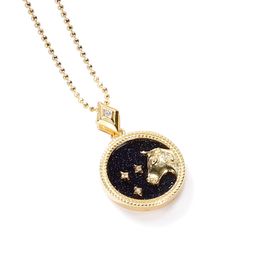 Astrologie Horoscoop Zodiac Sign hanger ketting voor mannen vrouwen 925 Sterling Silver All Constellation