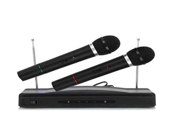 AT306 Professional Karaoke Dual Wireless Pandheld Microphone System Home KTV W2203141044564