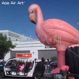 Attrayant 3/4/8mh Masque gonflable extérieur Mascotte Air rose Blown Flamingo pour exposition / publicité