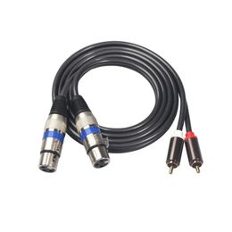 Audiokabel 2 XLR tot 2 RCA -adapterversterker luidspreker XLR RCA HIFI Microfoon luidsprekerkabel