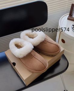 Australia Tasman Mujer Clásico Mini Bota de plataforma Piel de gamuza Botas de nieve Piel de oveja Piel sintética Mezcla de lana Comodidad Diseñador de invierno Chica Tobillo Botines cortos Zapatos