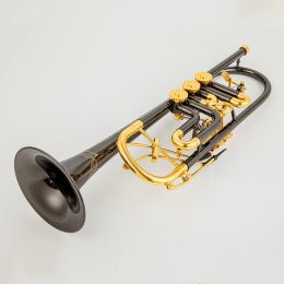 Austria Schagerl Bb Trumpet B Flat Latón llave plana Trompeta profesional Instrumentos musicales con estuche de cuero