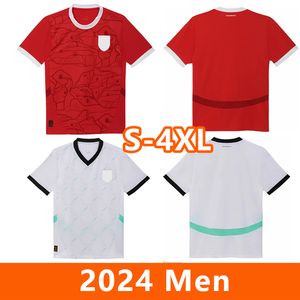 Voetbalshirts Oostenrijk 2024 thuis- en uitshirt Laimer Schlager Alaba Danso Sabitzer Lienhart Spelerversie