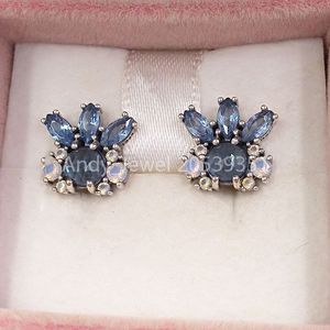 Andy Jewel Authentic 925 Sterling Silver Studs Patronen van Frost Multi-gekleurd kristal past bij Europese Pandora-stijl sieraden