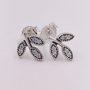 Vonkbladeren Earring Stud met Cear CZ Authentieke 925 Sterling Silver Studs Silver Fits European Pandora Style Sieraden Andy Jewel 290564CZ