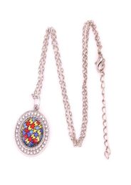 Autisme Hope Bijoux Rhodium plaqué Autism Awareness Pizzle Pizzle Pendant Crystal Round Pendant avec collier en strass Bijoux 285V4453825