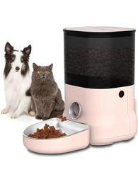 Distributeur automatique de nourriture pour chat-minuterie 1-6 repas quotidiens mangeoires automatiques pour animaux de compagnie pour chien chat avec formation d'alimentation enregistrée vocale 240328